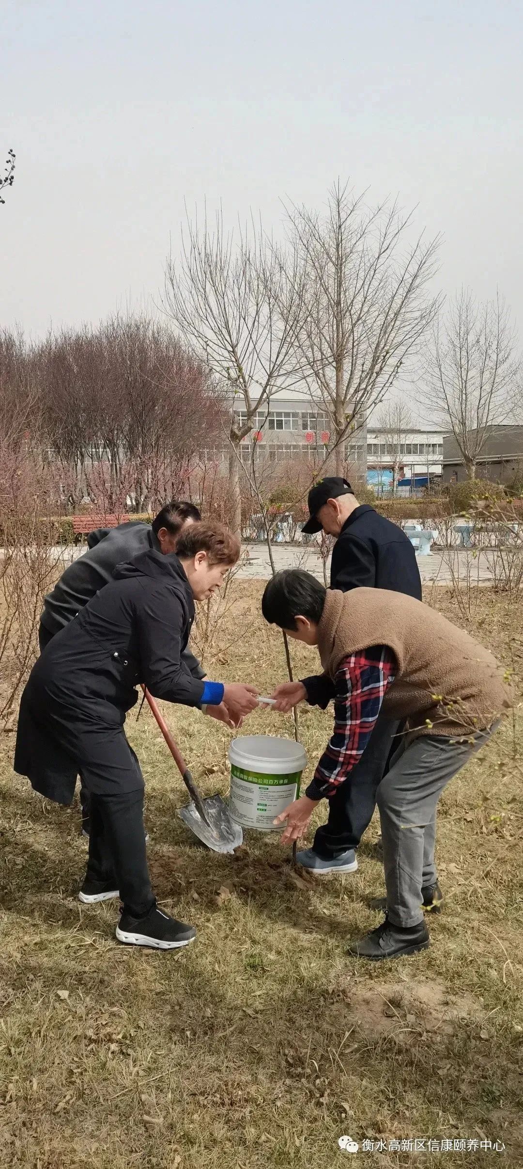 信康养老的植树节 信康养老的植树节