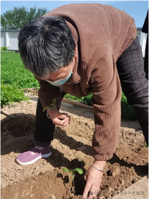 信康养老·燕园里独有的青春回忆---快乐菜园