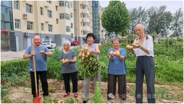 秋实满园，乐享“丰”景---信康养老·燕园小菜园丰收季