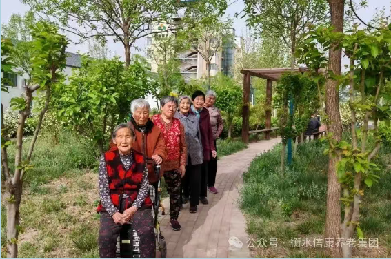 走进衡水信康养老·燕园，体验不一样的养老生活---平房小院，乐享悠然