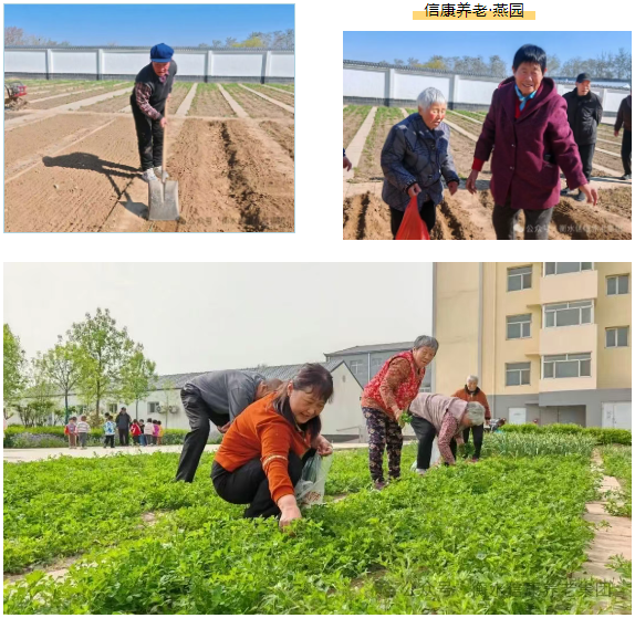 走进衡水信康养老·燕园，体验不一样的养老生活---平房小院，乐享悠然