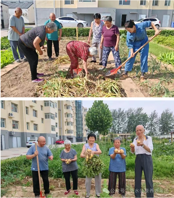 走进衡水信康养老·燕园，体验不一样的养老生活---平房小院，乐享悠然