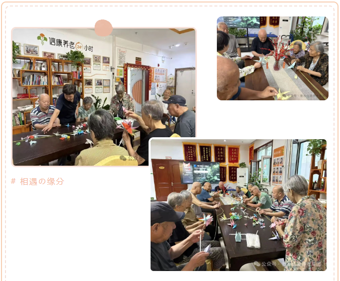 银龄巧手，鹤寄温情