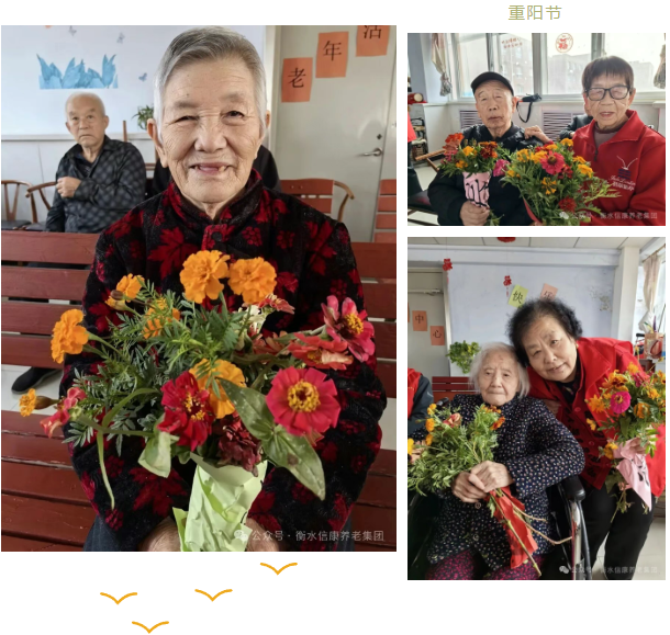 岁月留香，情暖重阳——信康养老插花活动温情绽放