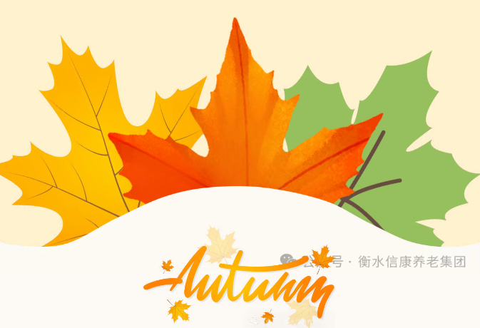 一畦春绿,两代欢颜:记信康养老·燕园的长者与小朋友们共收芥菜的温情时光