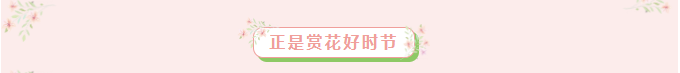 春风拂暖信康院，童声相伴赏花行