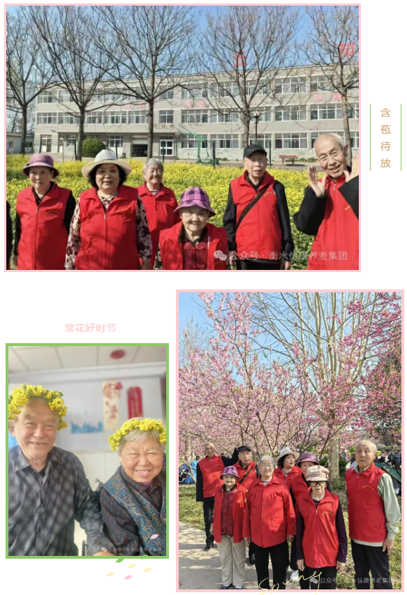 春风拂暖信康院，童声相伴赏花行